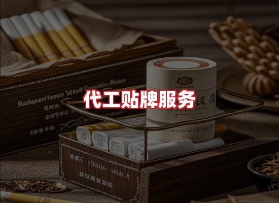 专业团队